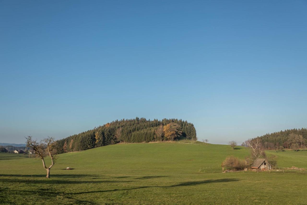 Ferienhof Sauter Friedrichshafen Neukirch  Exteriör bild